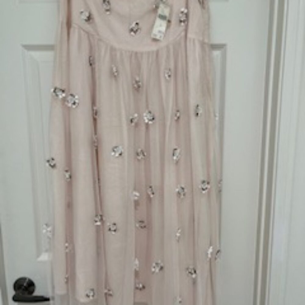 Anthropologie Sheer Flowered Skirt  14 NWT